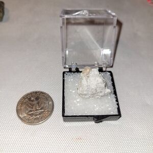 Rare Thick Solar Wind Mine, Utah Pink Topaz in Topaz Rhyolite Matrix